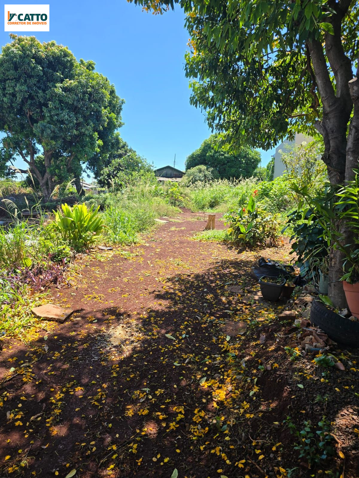 J Catto Im�veis em Santa Izabel do Oeste PR