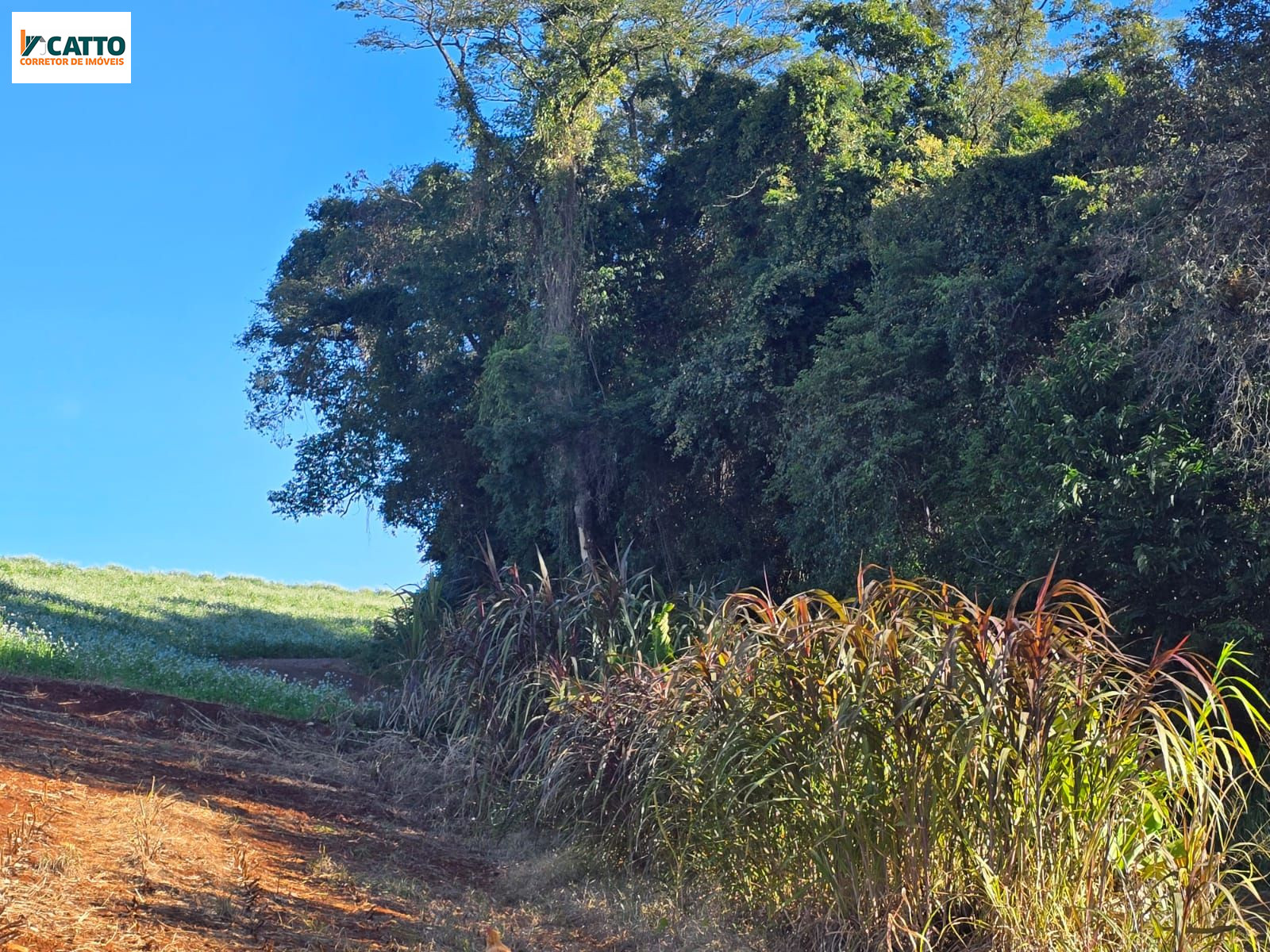 J Catto Im�veis em Santa Izabel do Oeste PR