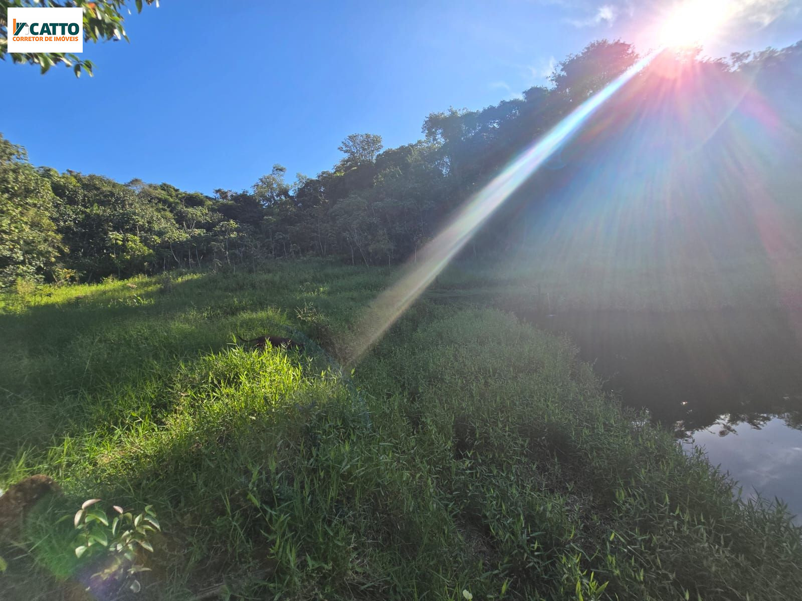 J Catto Im�veis em Santa Izabel do Oeste PR