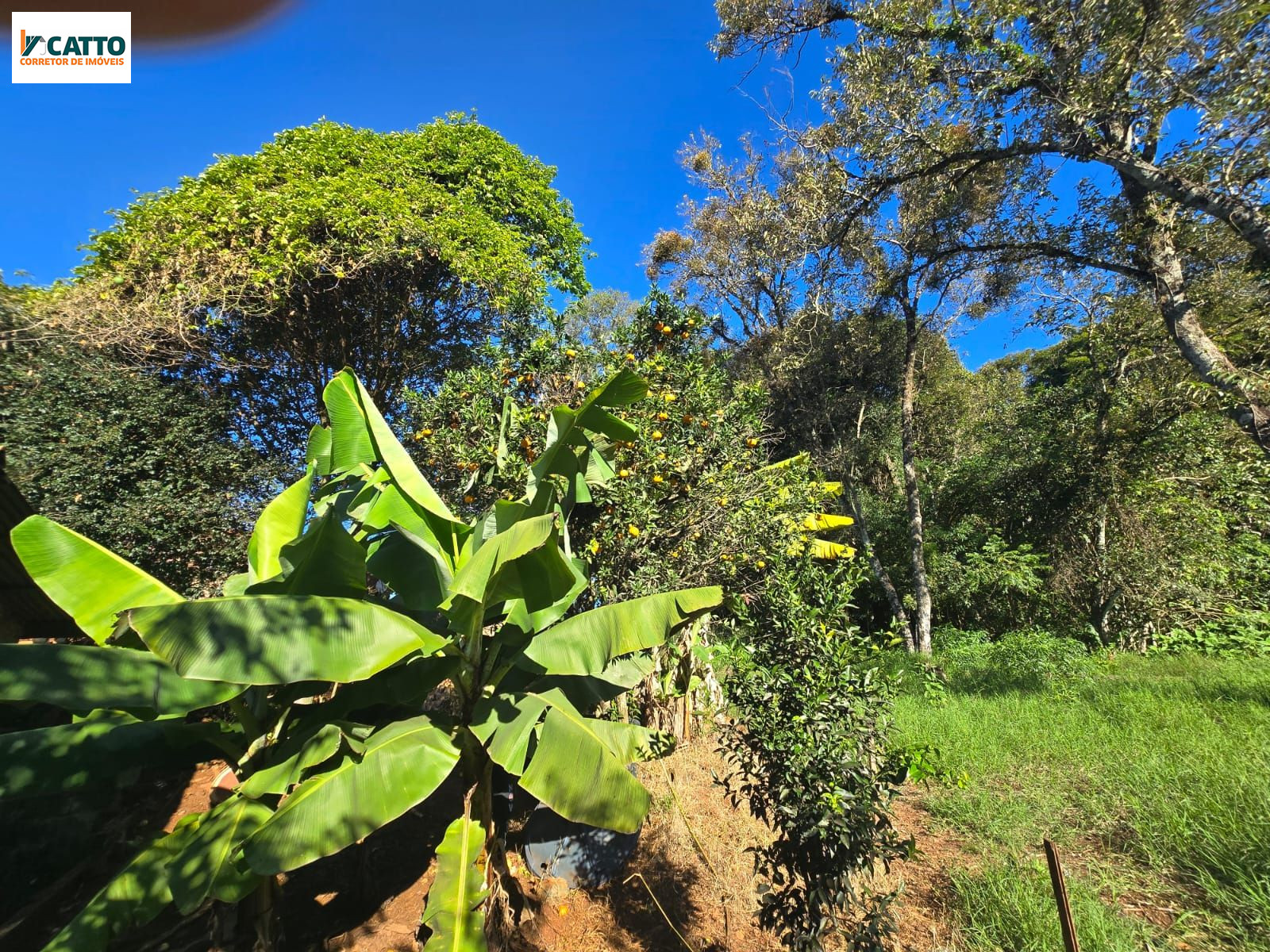 J Catto Im�veis em Santa Izabel do Oeste PR