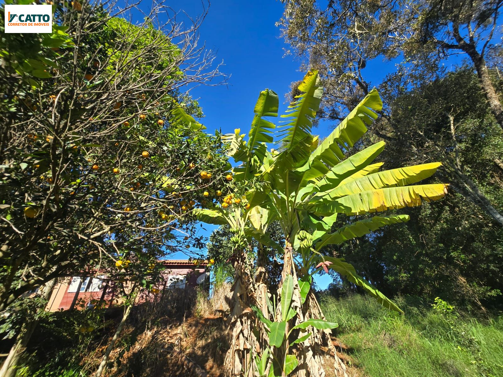 J Catto Im�veis em Santa Izabel do Oeste PR