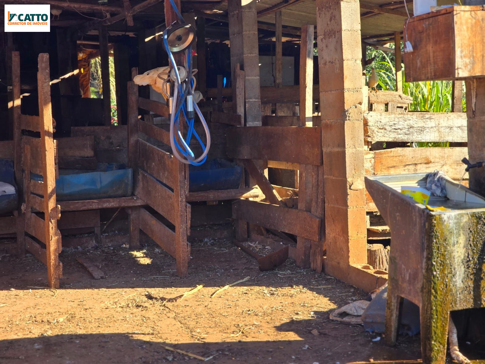 J Catto Im�veis em Santa Izabel do Oeste PR