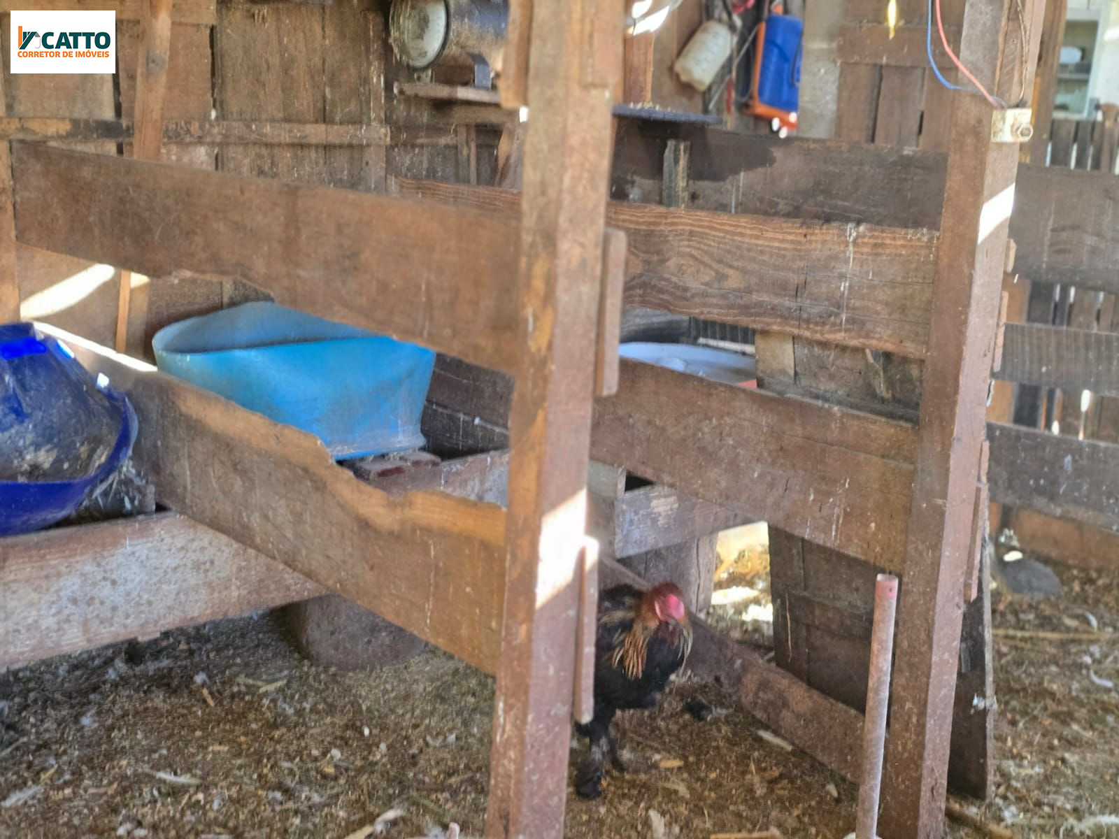 J Catto Im�veis em Santa Izabel do Oeste PR