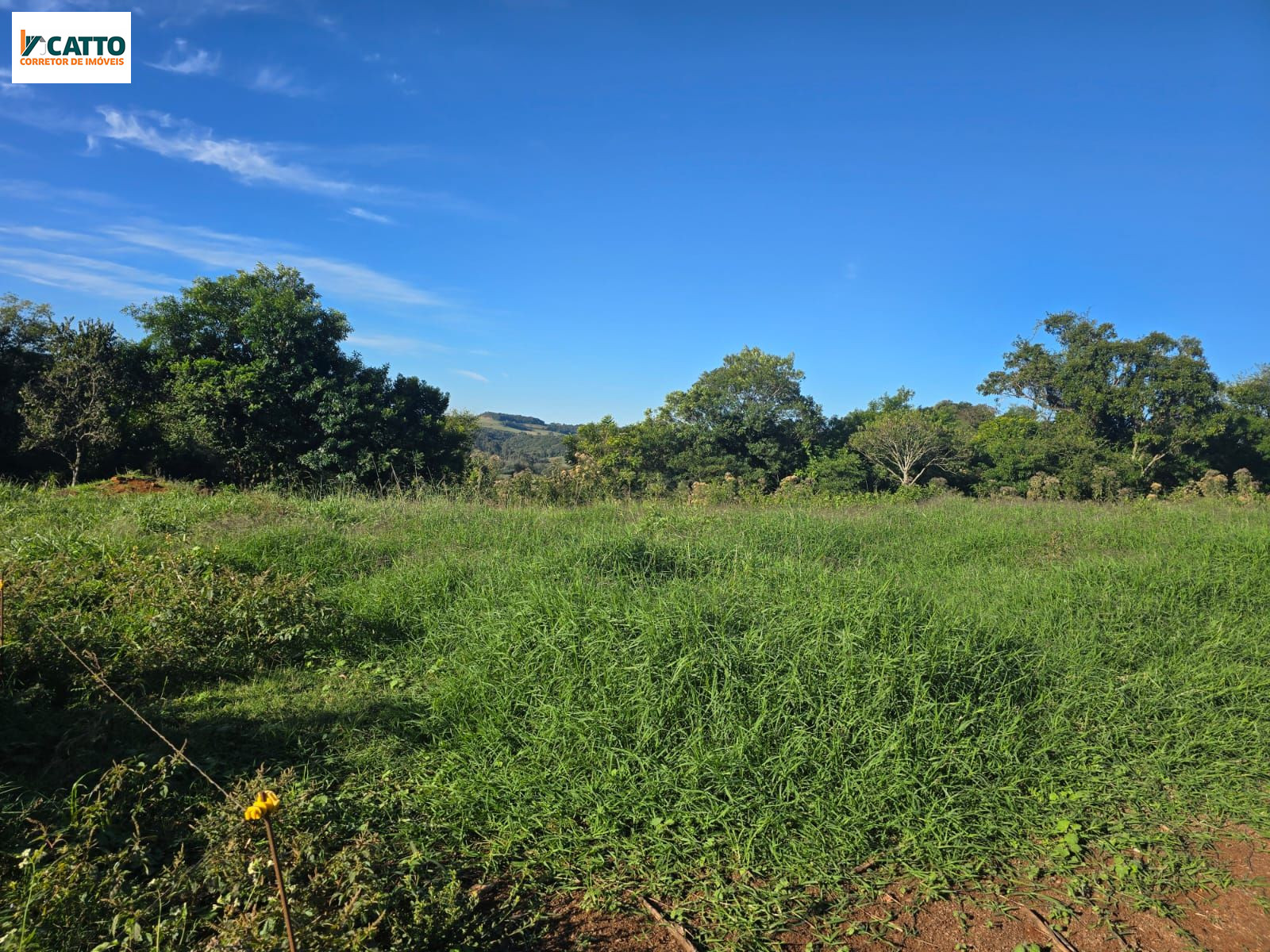 J Catto Im�veis em Santa Izabel do Oeste PR