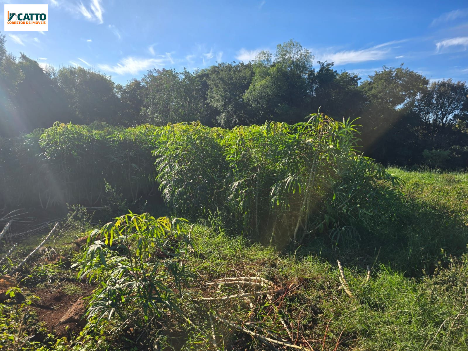 J Catto Im�veis em Santa Izabel do Oeste PR
