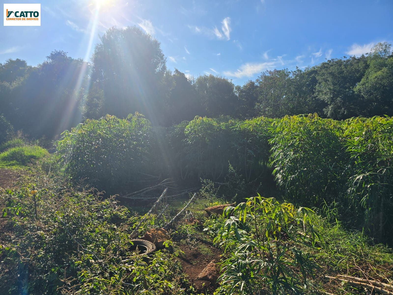 J Catto Im�veis em Santa Izabel do Oeste PR