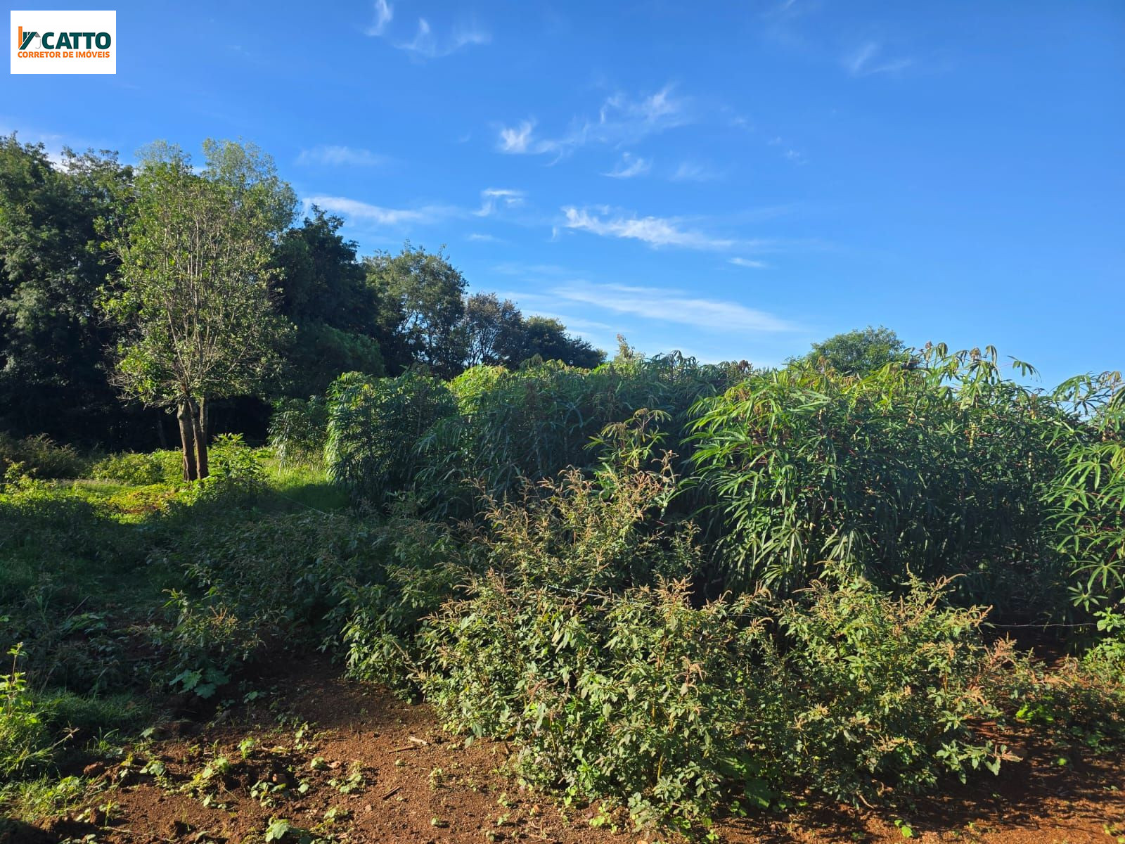 J Catto Im�veis em Santa Izabel do Oeste PR