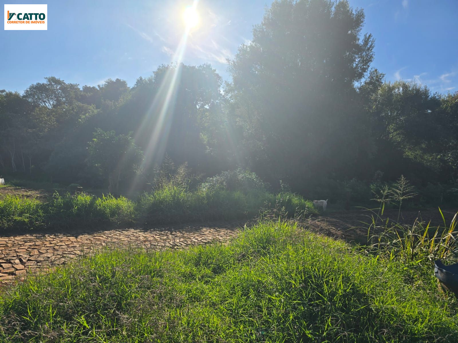 J Catto Im�veis em Santa Izabel do Oeste PR