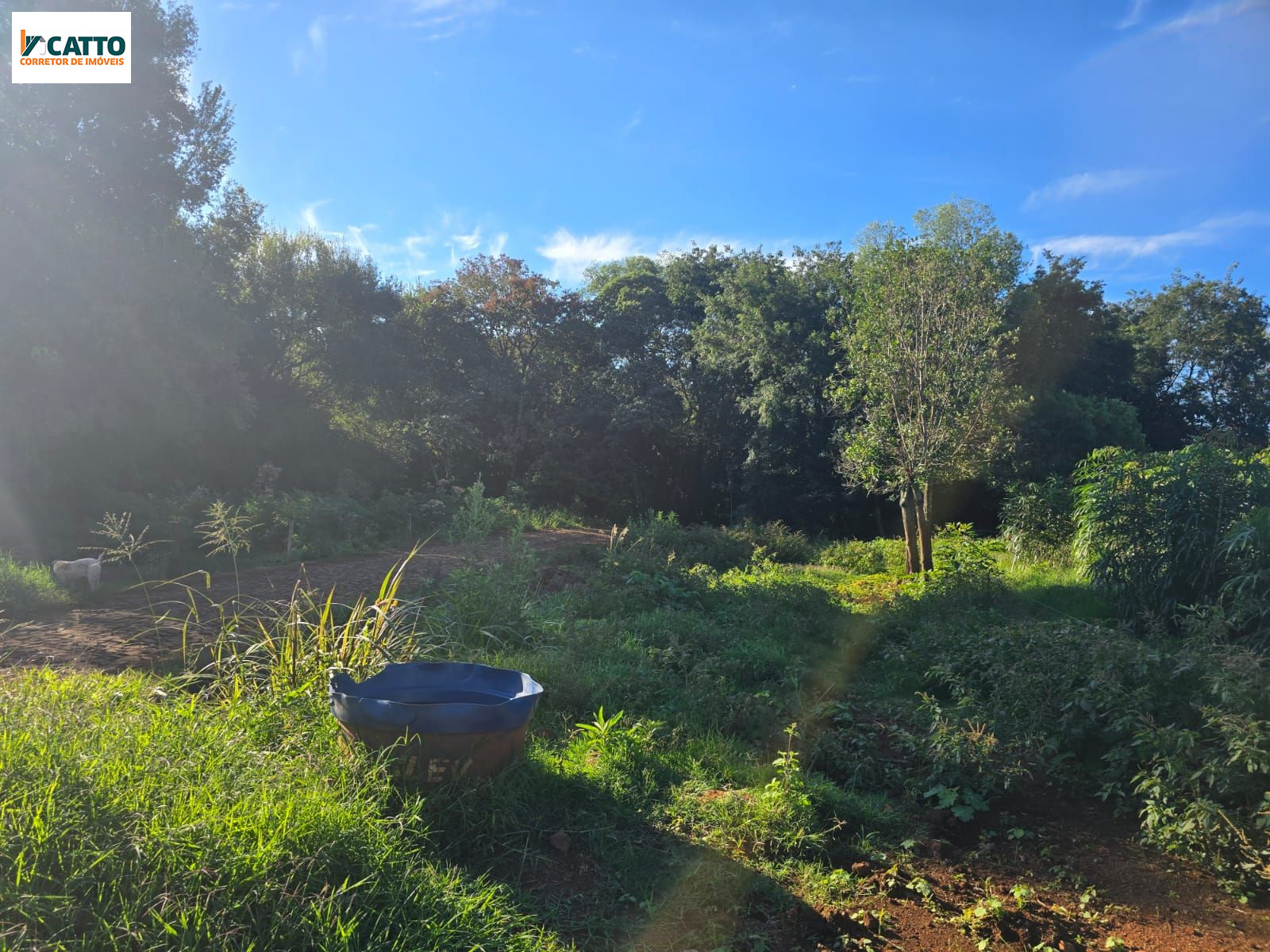 J Catto Im�veis em Santa Izabel do Oeste PR