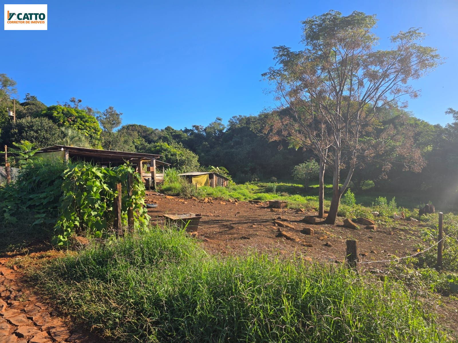 J Catto Im�veis em Santa Izabel do Oeste PR