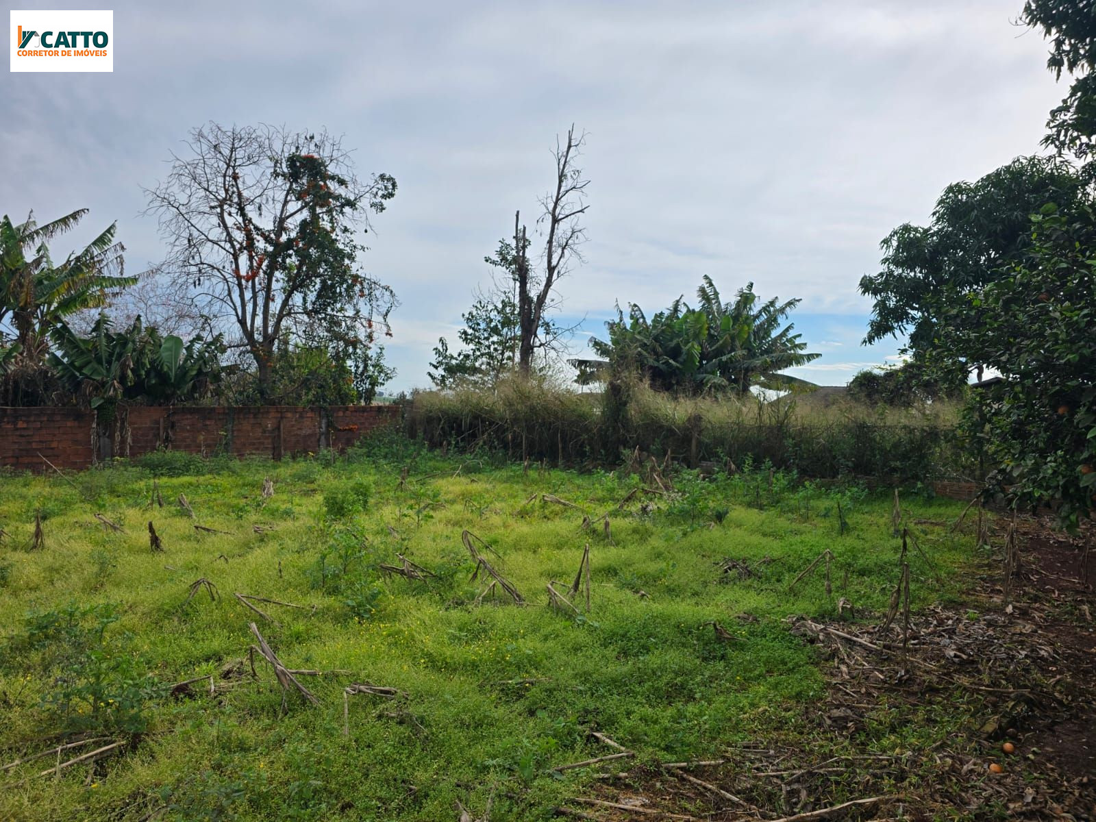 J Catto Im�veis em Santa Izabel do Oeste PR