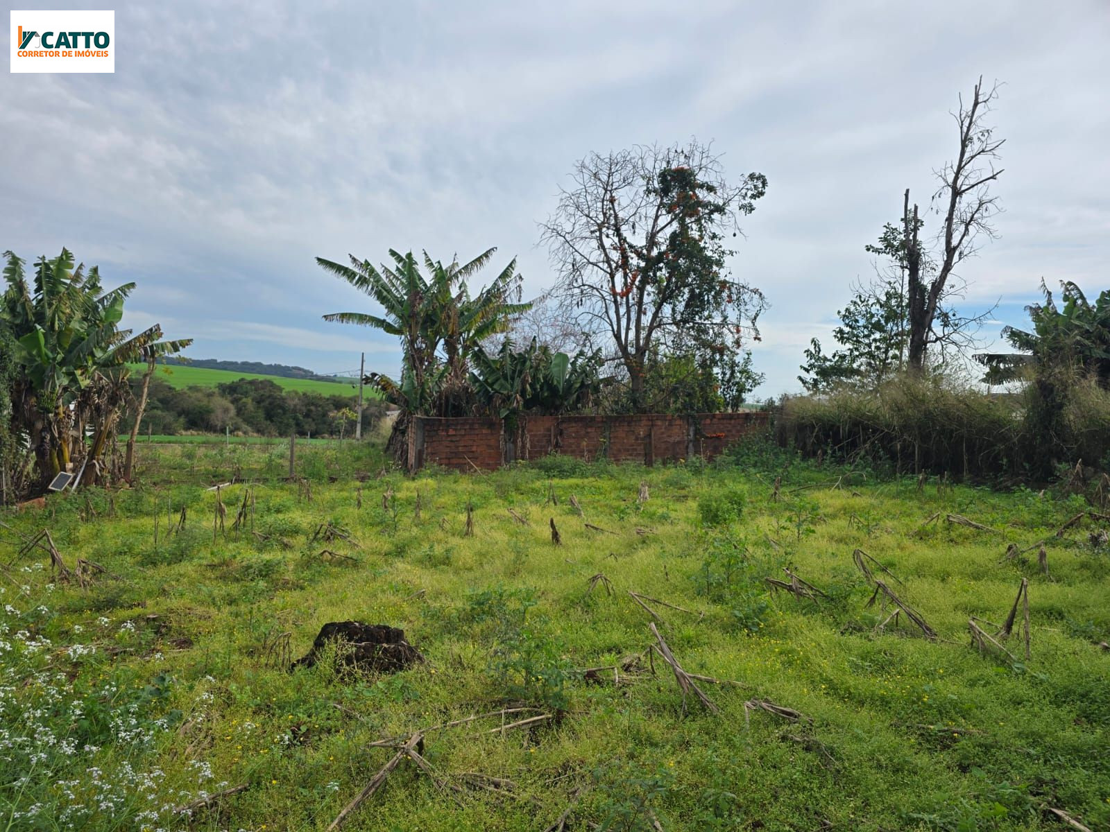 J Catto Im�veis em Santa Izabel do Oeste PR