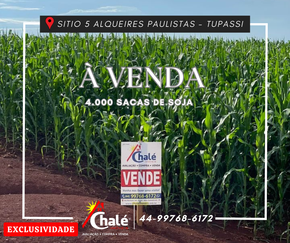 Sitio 5,00 Alqueires Paulistas    -     em  Tupãssi 