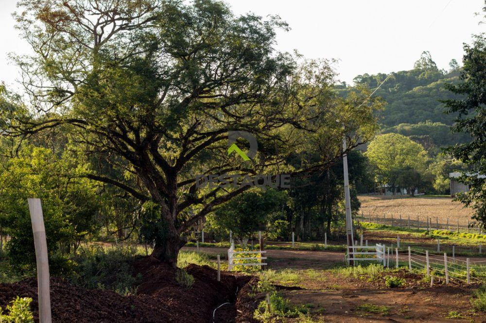 Imobili�ria Destaque em Cascavel PR