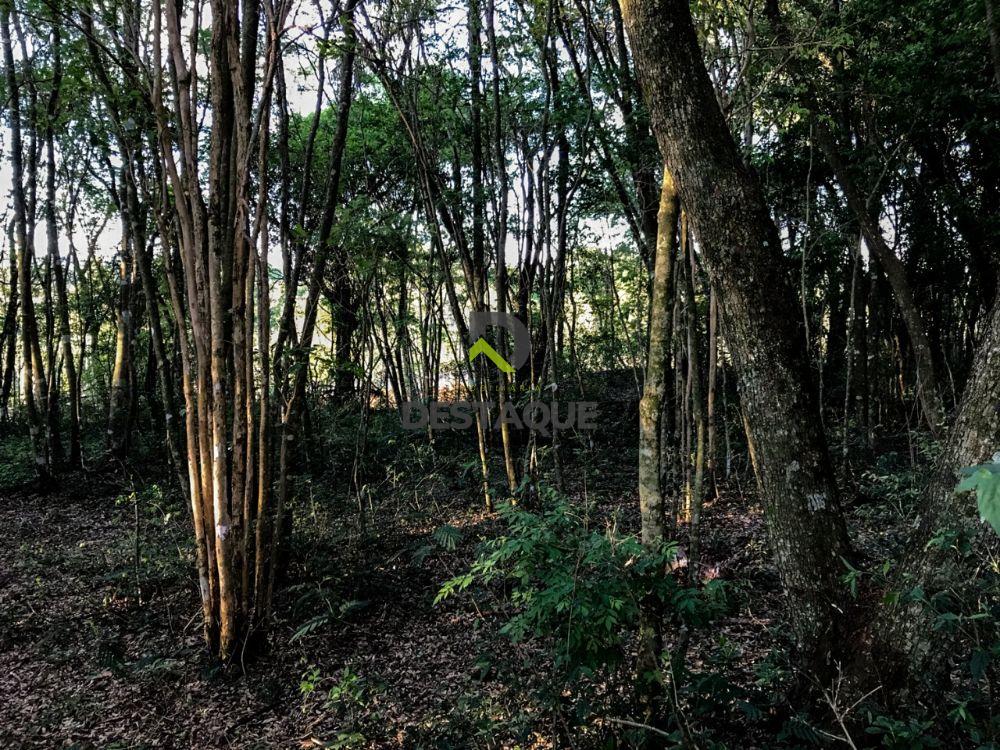 Imobili�ria Destaque em Cascavel PR