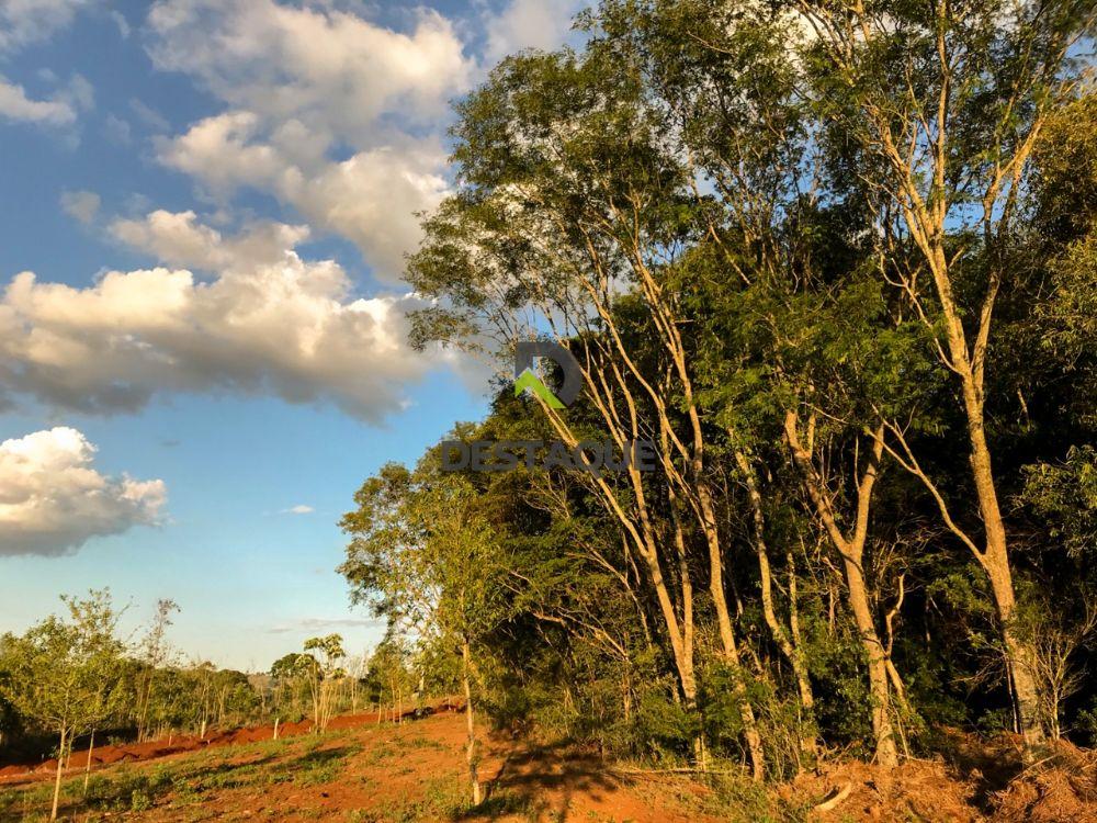 Imobili�ria Destaque em Cascavel PR