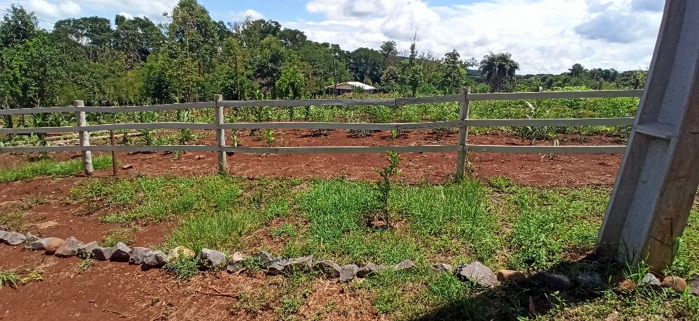 Imobili�ria Destaque em Cascavel PR