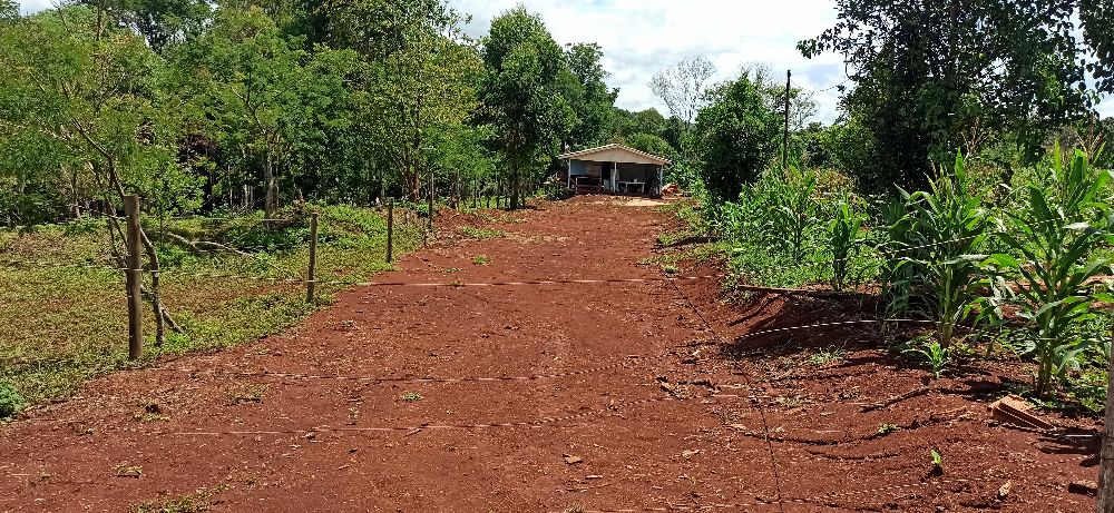 Imobili�ria Destaque em Cascavel PR