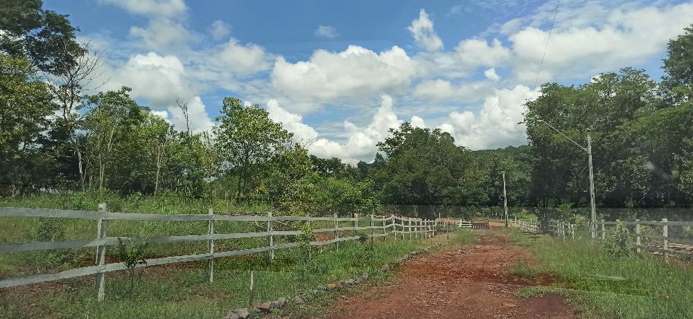 Imobili�ria Destaque em Cascavel PR