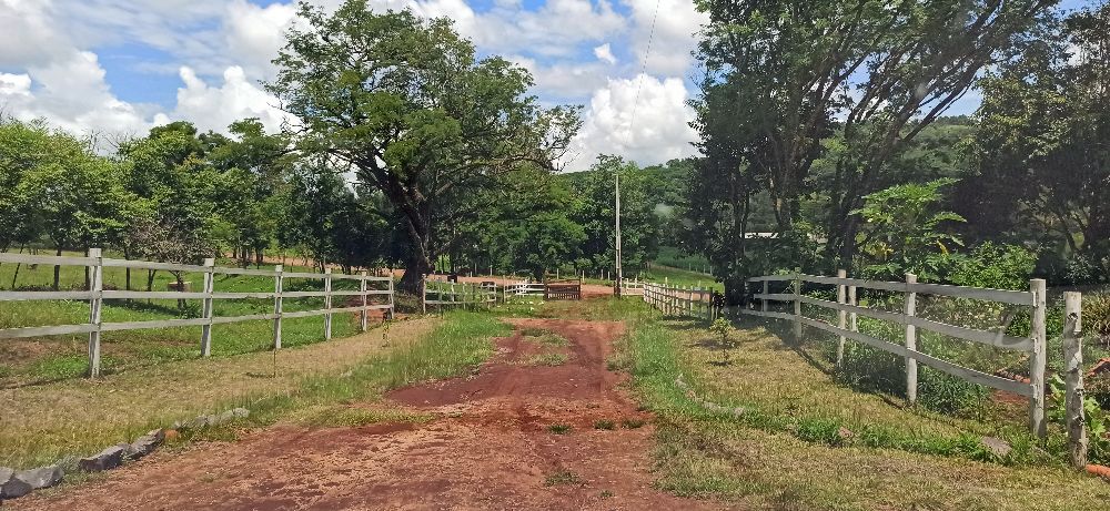 Imobili�ria Destaque em Cascavel PR