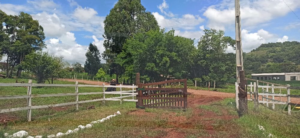 Imobili�ria Destaque em Cascavel PR