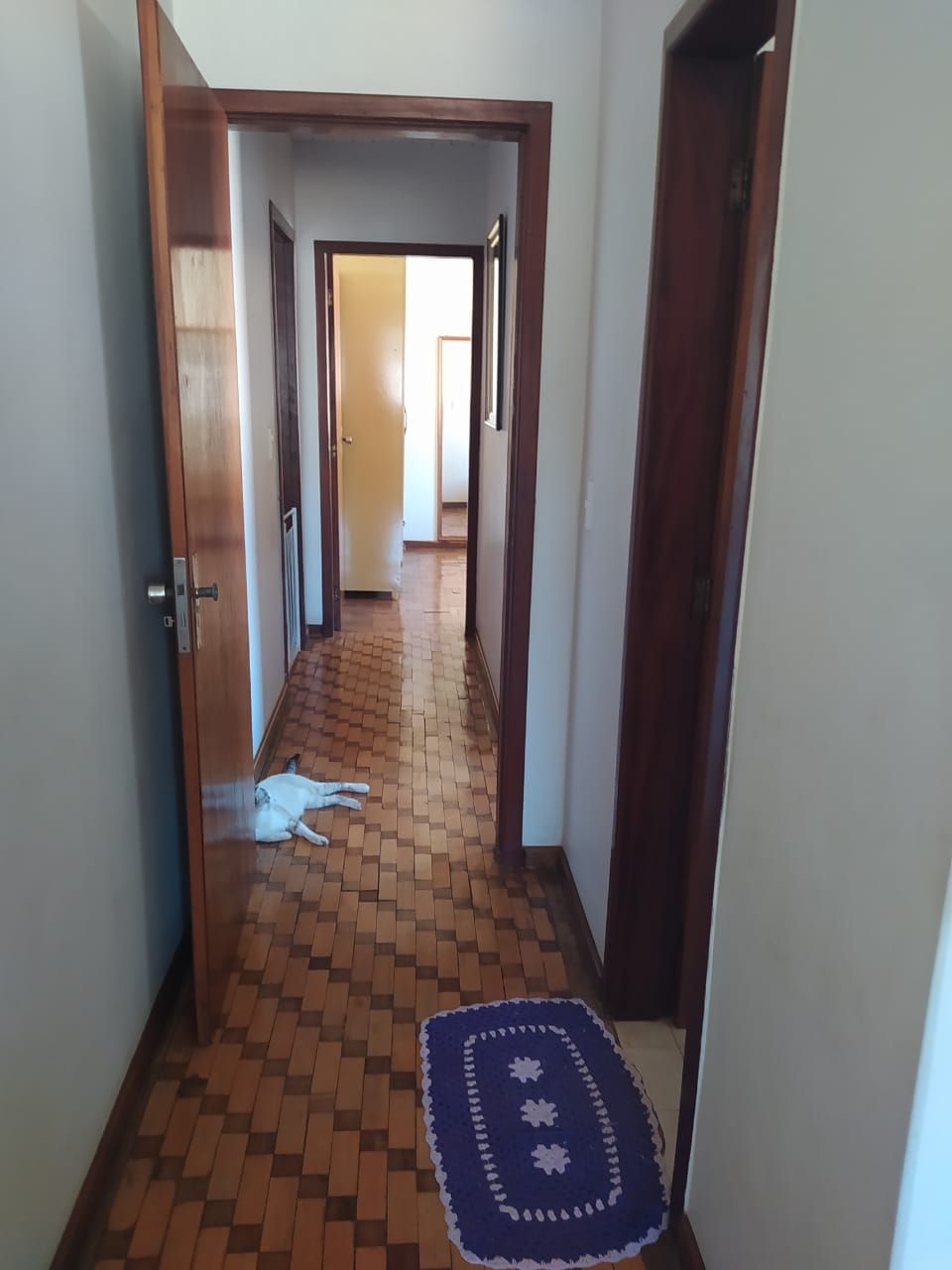 Imobiliria Destaque em Cascavel PR