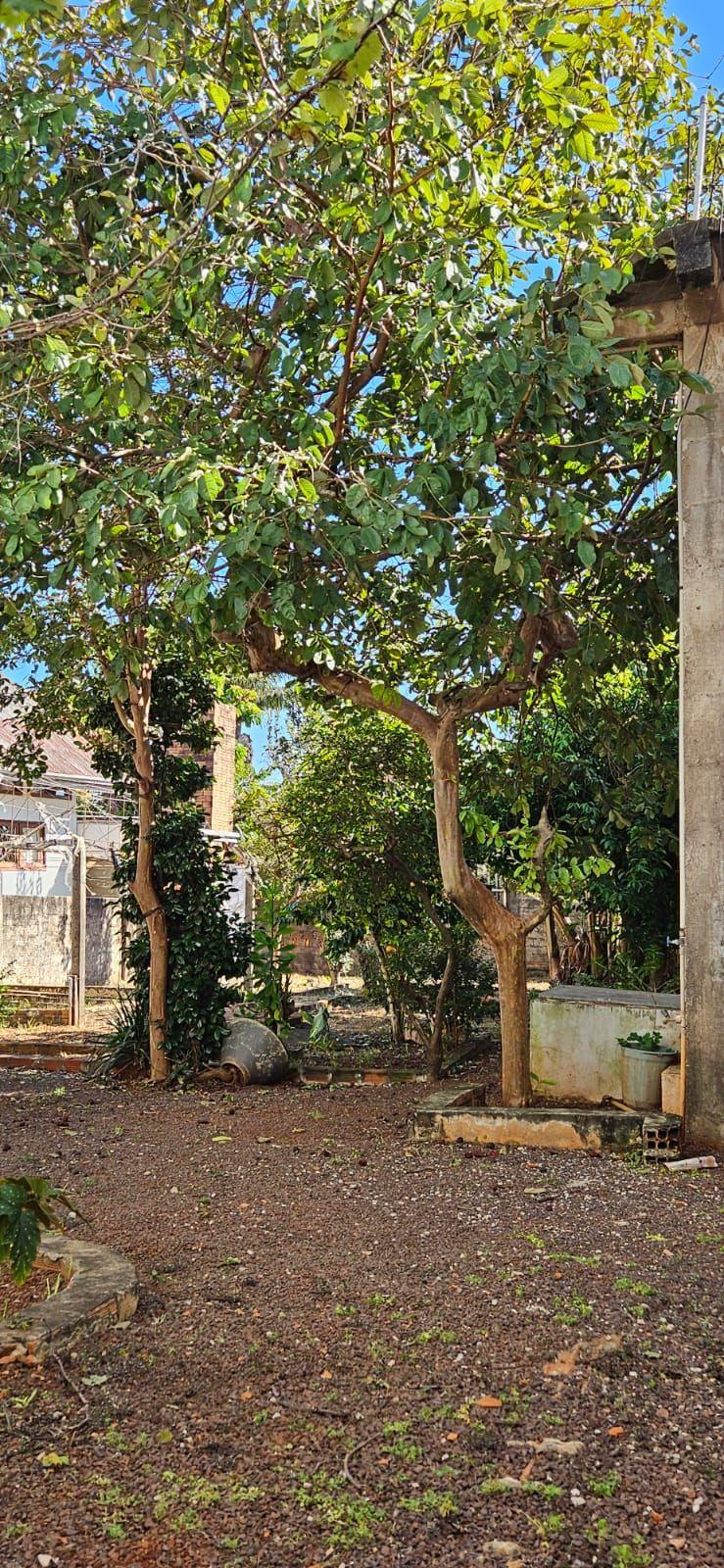 Imobiliria Destaque em Cascavel PR