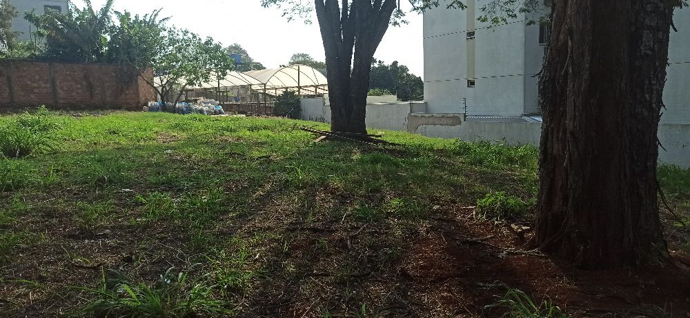 Imobiliria Destaque em Cascavel PR