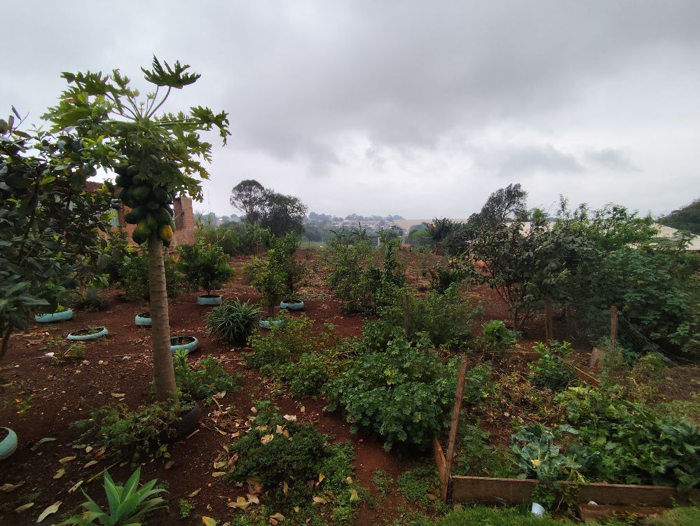 Imobiliria Destaque em Cascavel PR