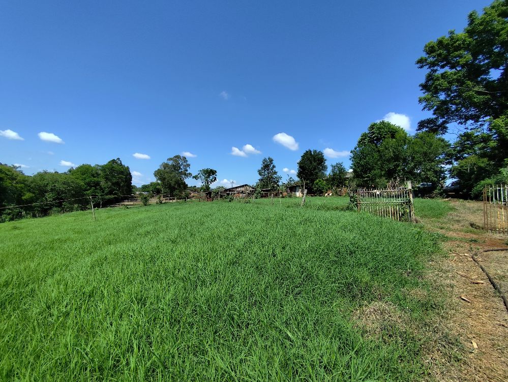 Chacara dom 26000m2- Estrada Rio da Paz