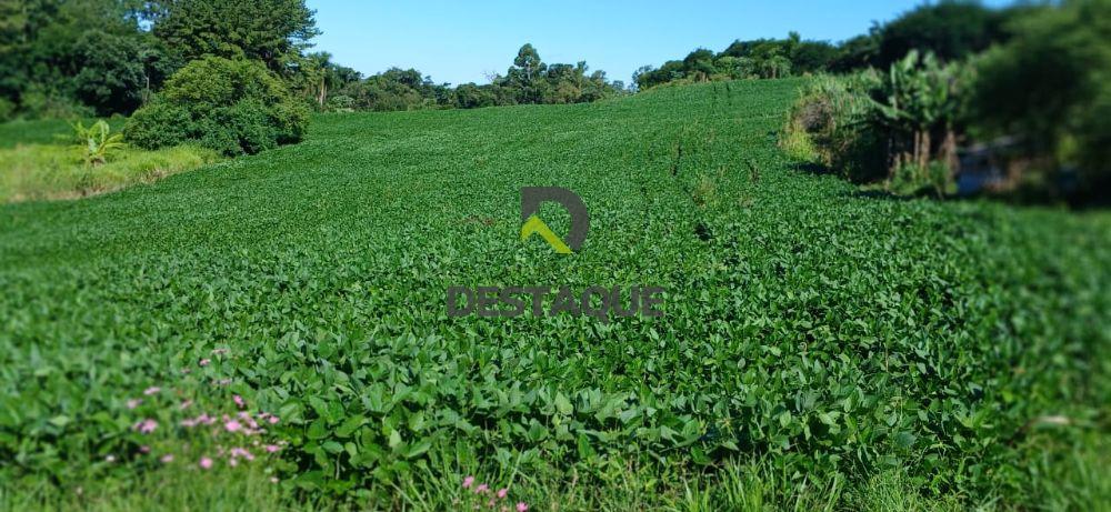 Imobili�ria Destaque em Cascavel PR