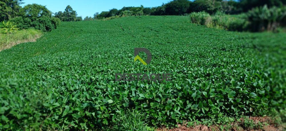 Imobili�ria Destaque em Cascavel PR