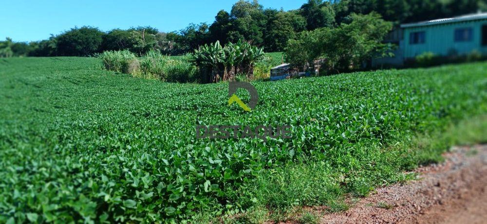 Imobili�ria Destaque em Cascavel PR