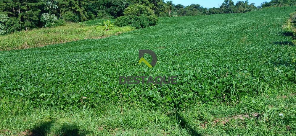 Imobili�ria Destaque em Cascavel PR