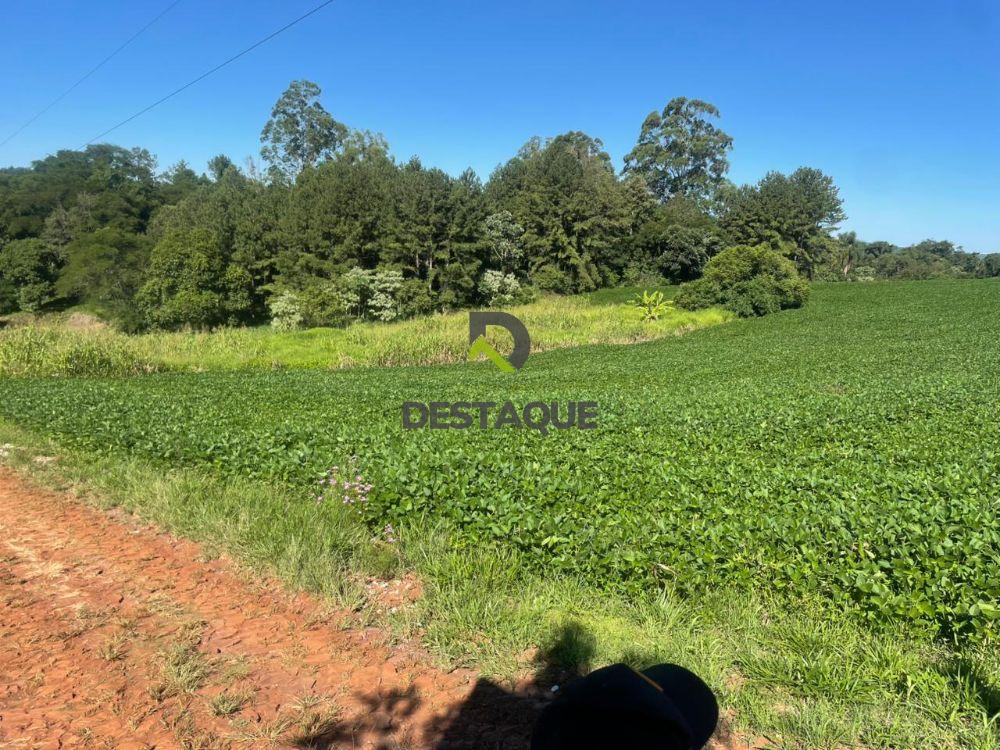 Imobili�ria Destaque em Cascavel PR