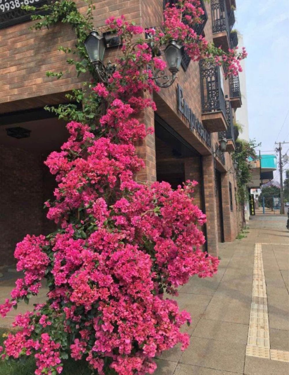 Imobiliria Destaque em Cascavel PR