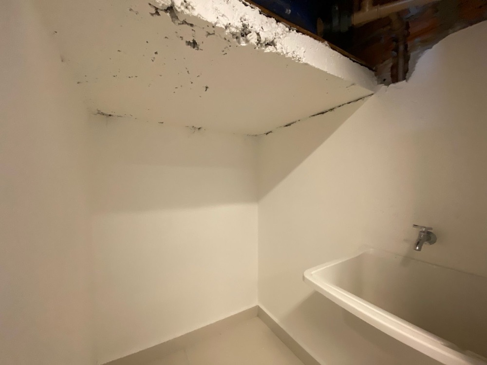 Imobiliria Destaque em Cascavel PR