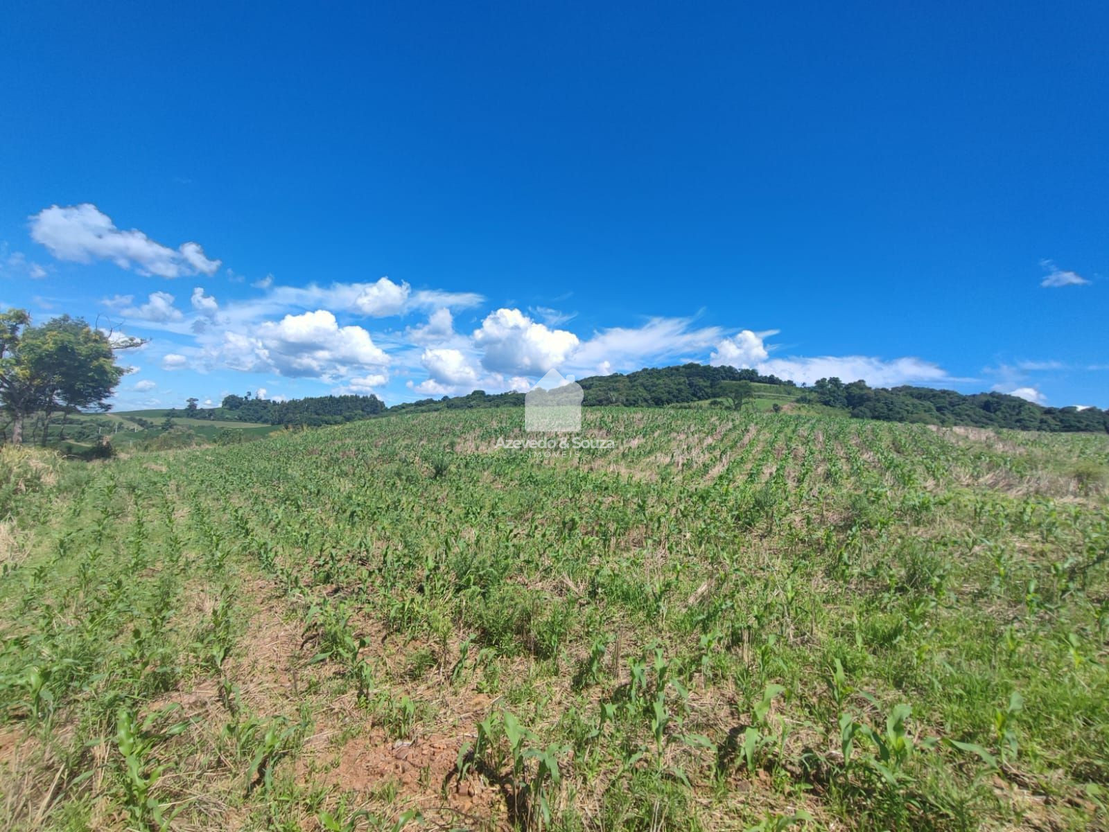 Azevedo & Souza de Im�veis em Francisco Beltr�o/PR