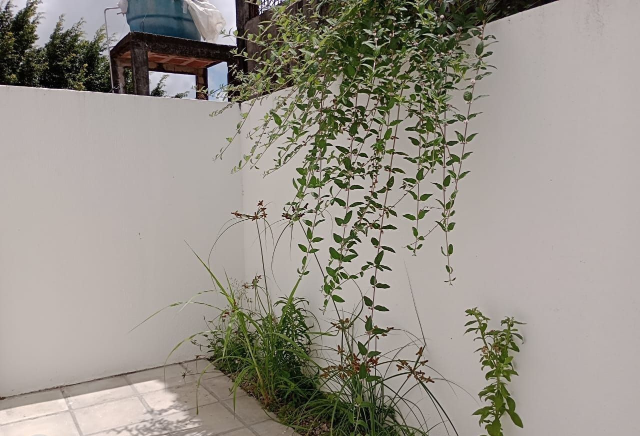 Casa com 02 dormitórios à venda, 58m² por R$ 250.000 - Ernesto...