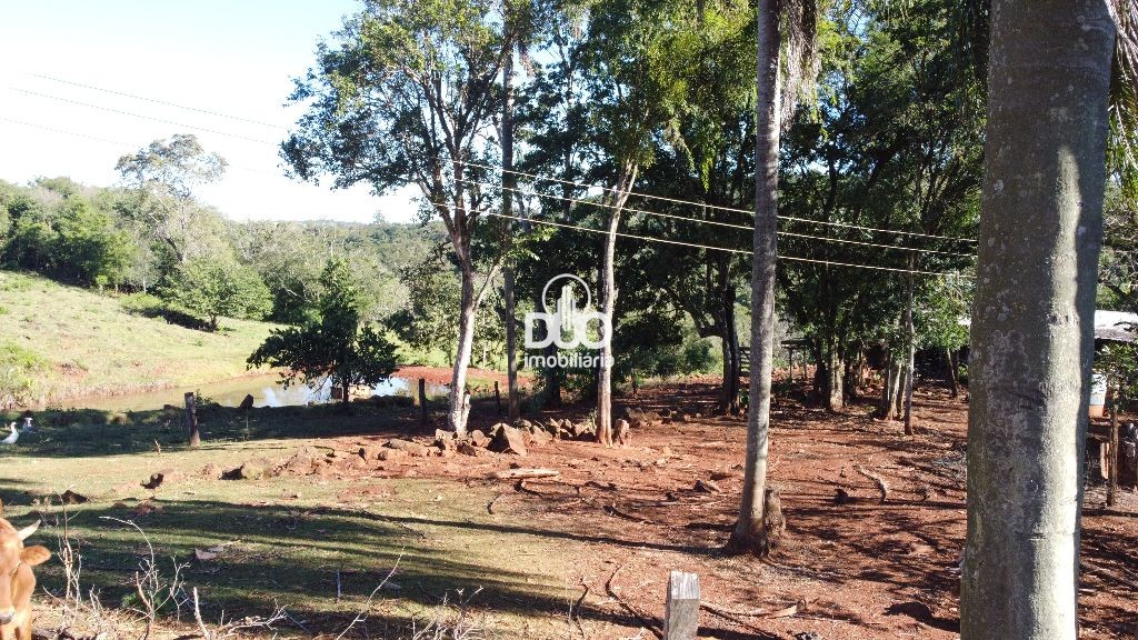 Duo Imobiliria em Medianeira