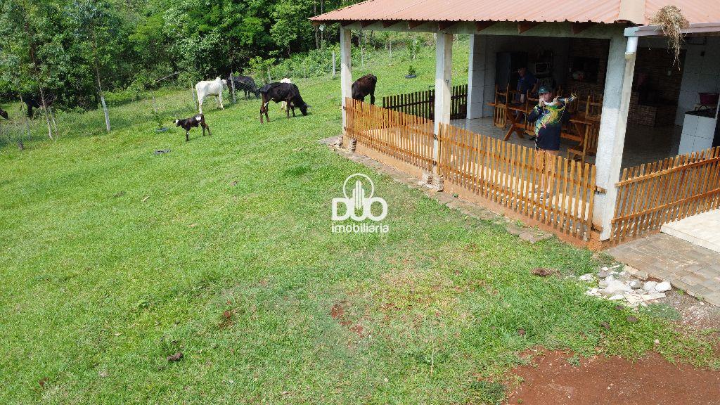 Duo Imobiliria em Medianeira