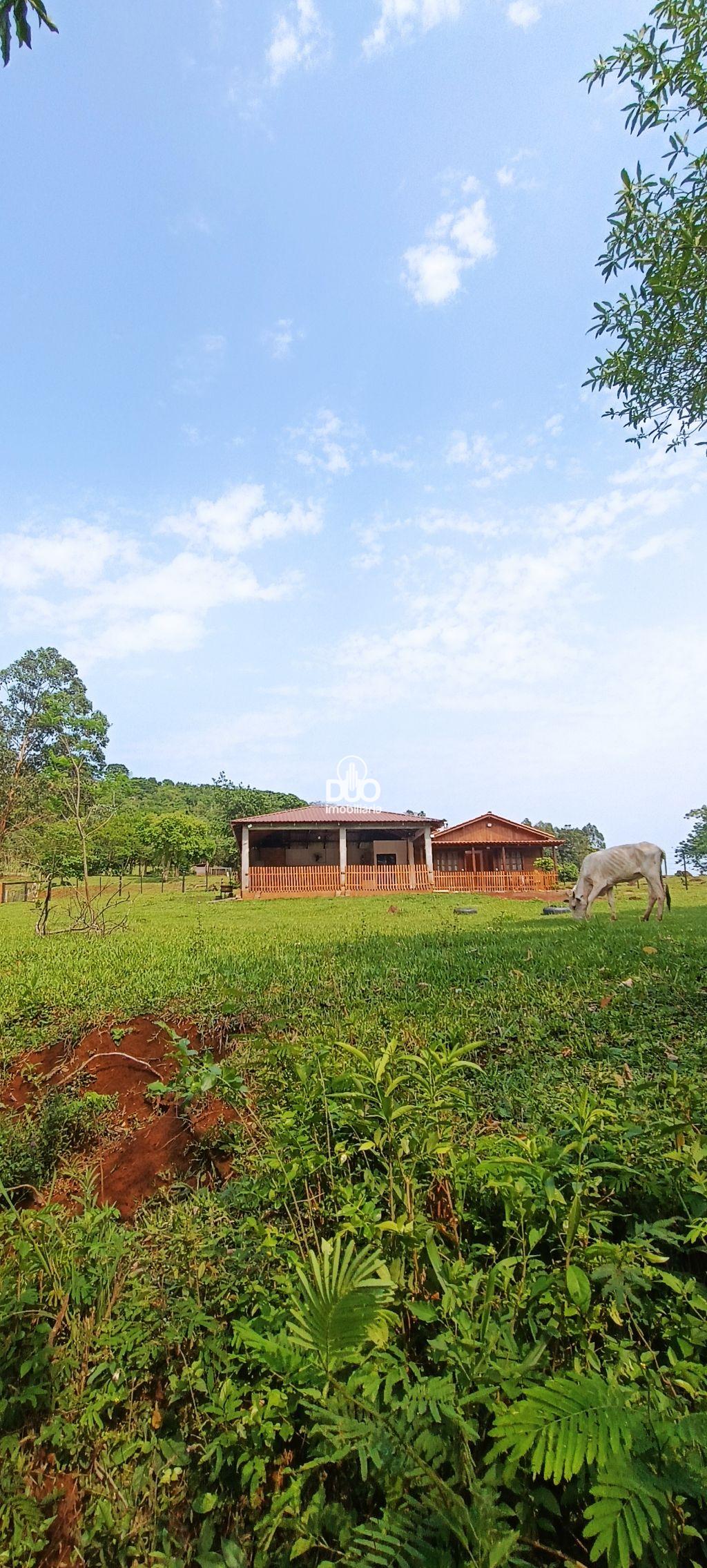 Duo Imobiliria em Medianeira