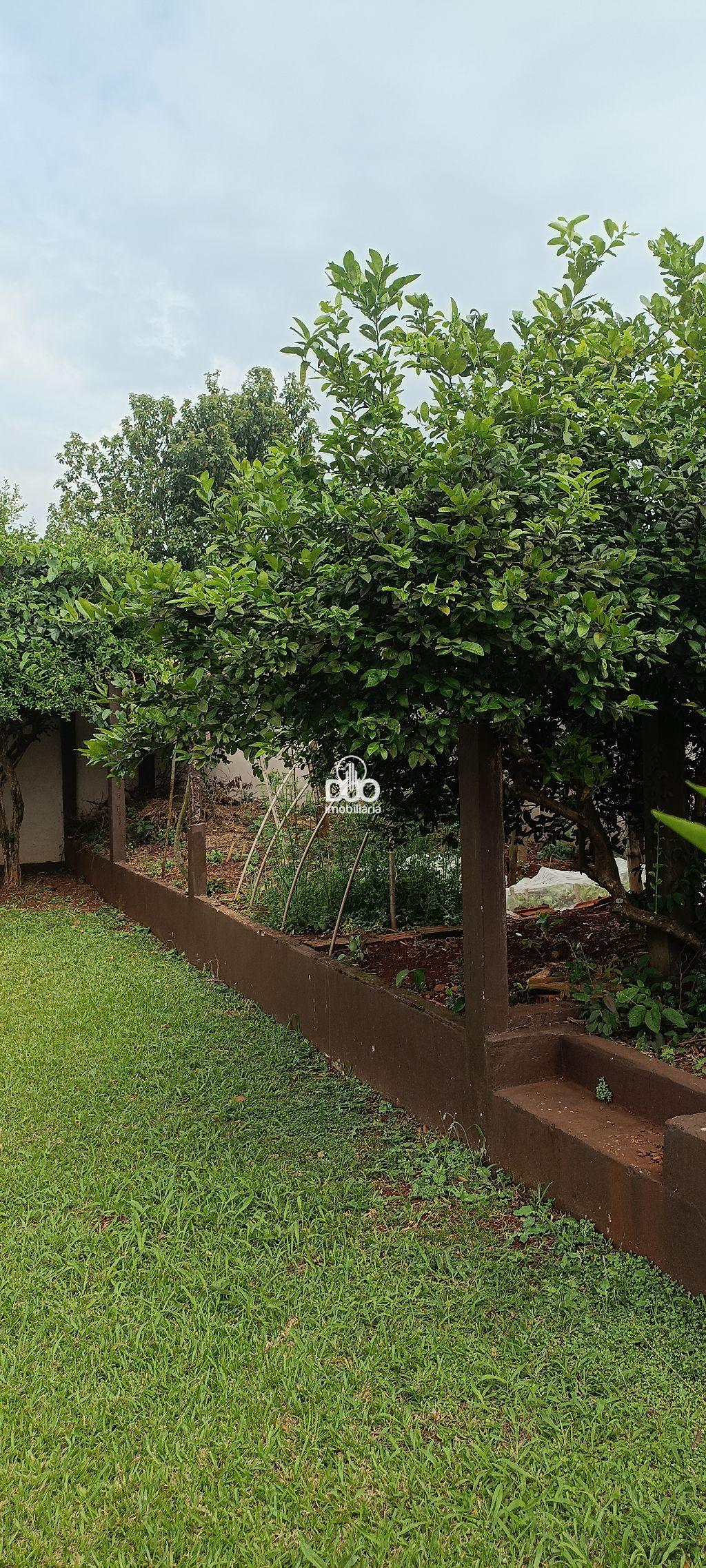 Duo Imobiliria em Medianeira