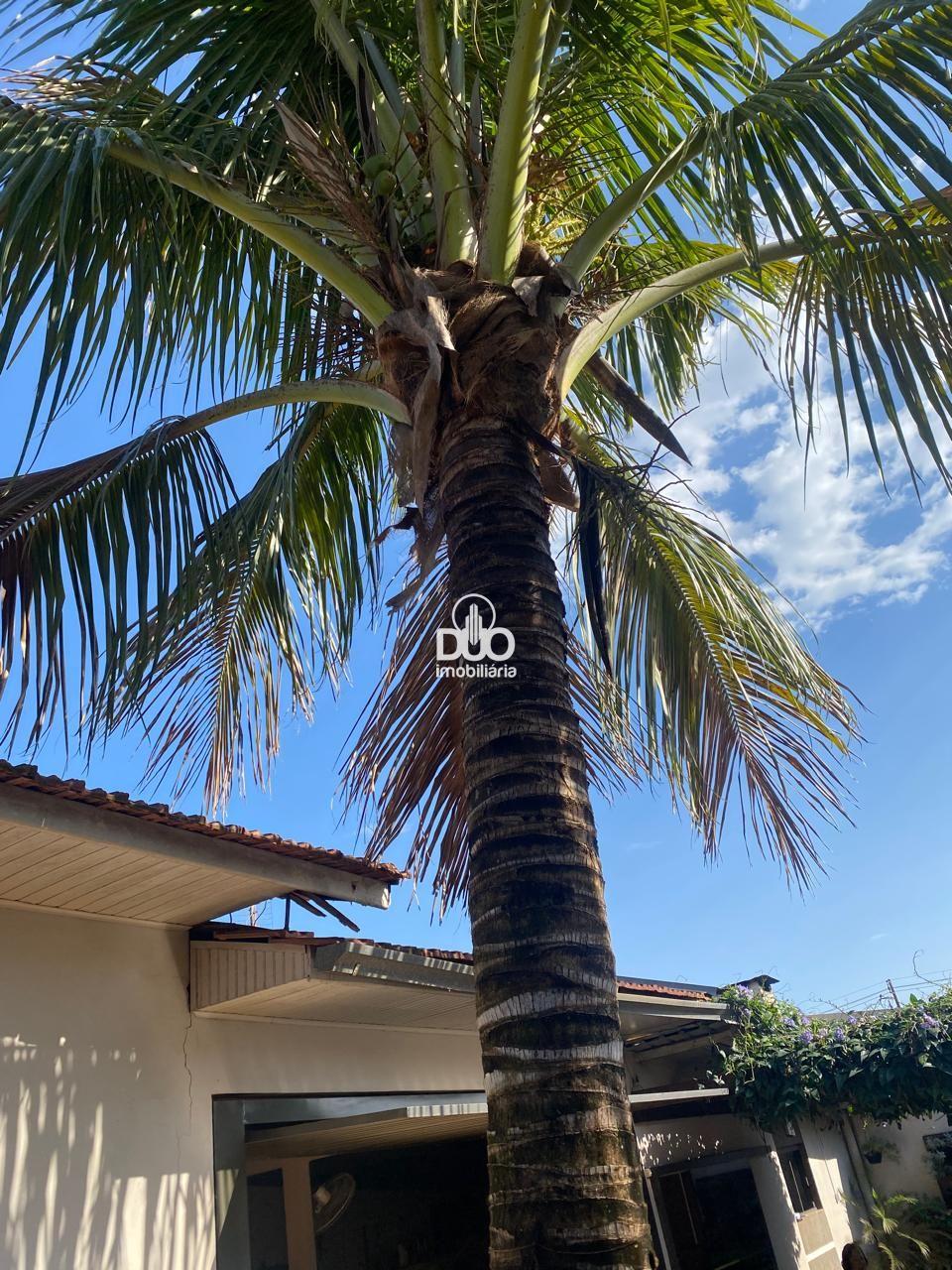 Duo Imobiliria em Medianeira
