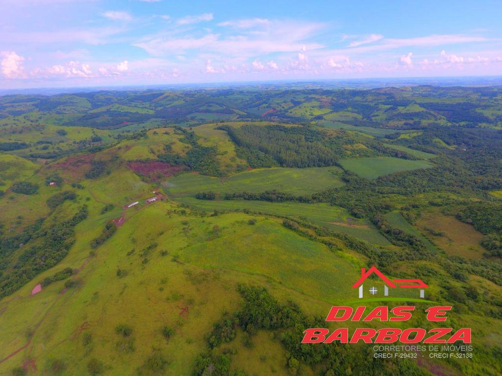 Fazenda de 308,5 alqueires, Localizada na Linha Mato Queimado em Espigo Alto Do