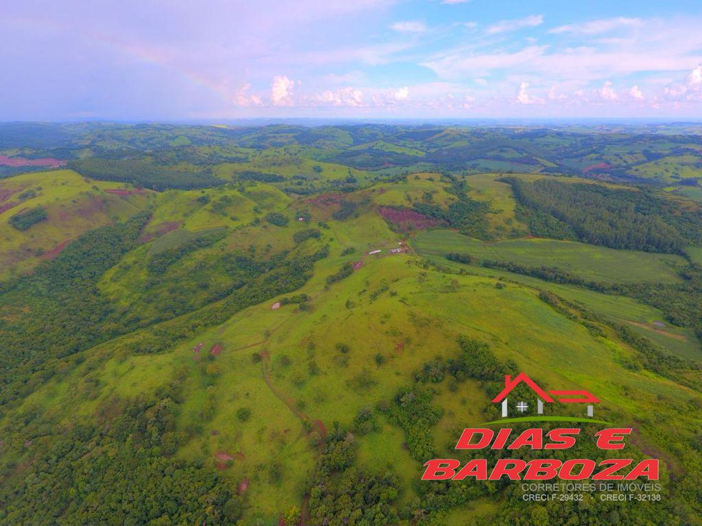 Dias e Barboza Corretores de Imveis em Ampre PR