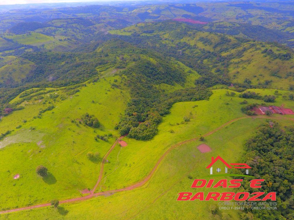 Dias e Barboza Corretores de Imveis em Ampre PR
