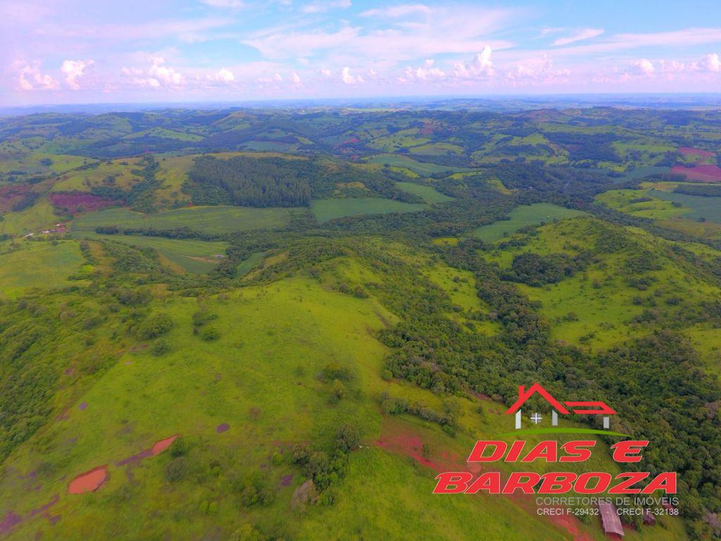 Dias e Barboza Corretores de Imveis em Ampre PR