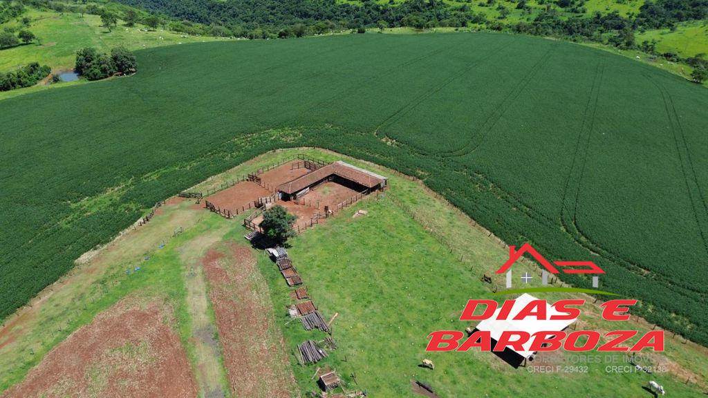 Fazenda de 1070ha (443 alqueires), Localizada na PR 180 em Cascavel(Juvinpolis)