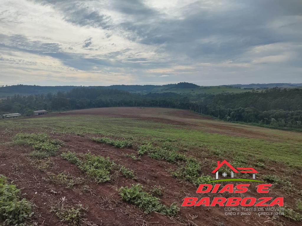 rea rural de 40,4 alq, sendo 28alq mecanizados localizada em Planalto - PR. 